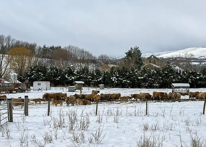 Cal 1777 Dom wakacyjny *